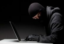 Влияние сети Интернет на формирование преступного поведения личности Влияние сети Интернет на формирование преступного поведения личности