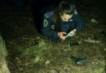 Криминалистические проблемы обнаружения и устранения следственных ошибок следственные ошибки