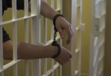 Заключение под стражу: состояние, проблемы, перспективы Заключение под стражу