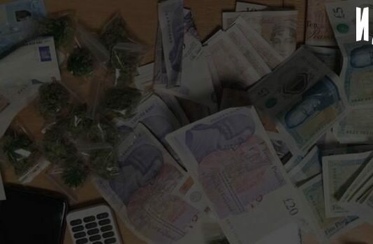 Гуманизация уголовного законодательства по делам ст. 228 УК РФ Гуманизация уголовного законодательства по делам ст. 228 УК РФ